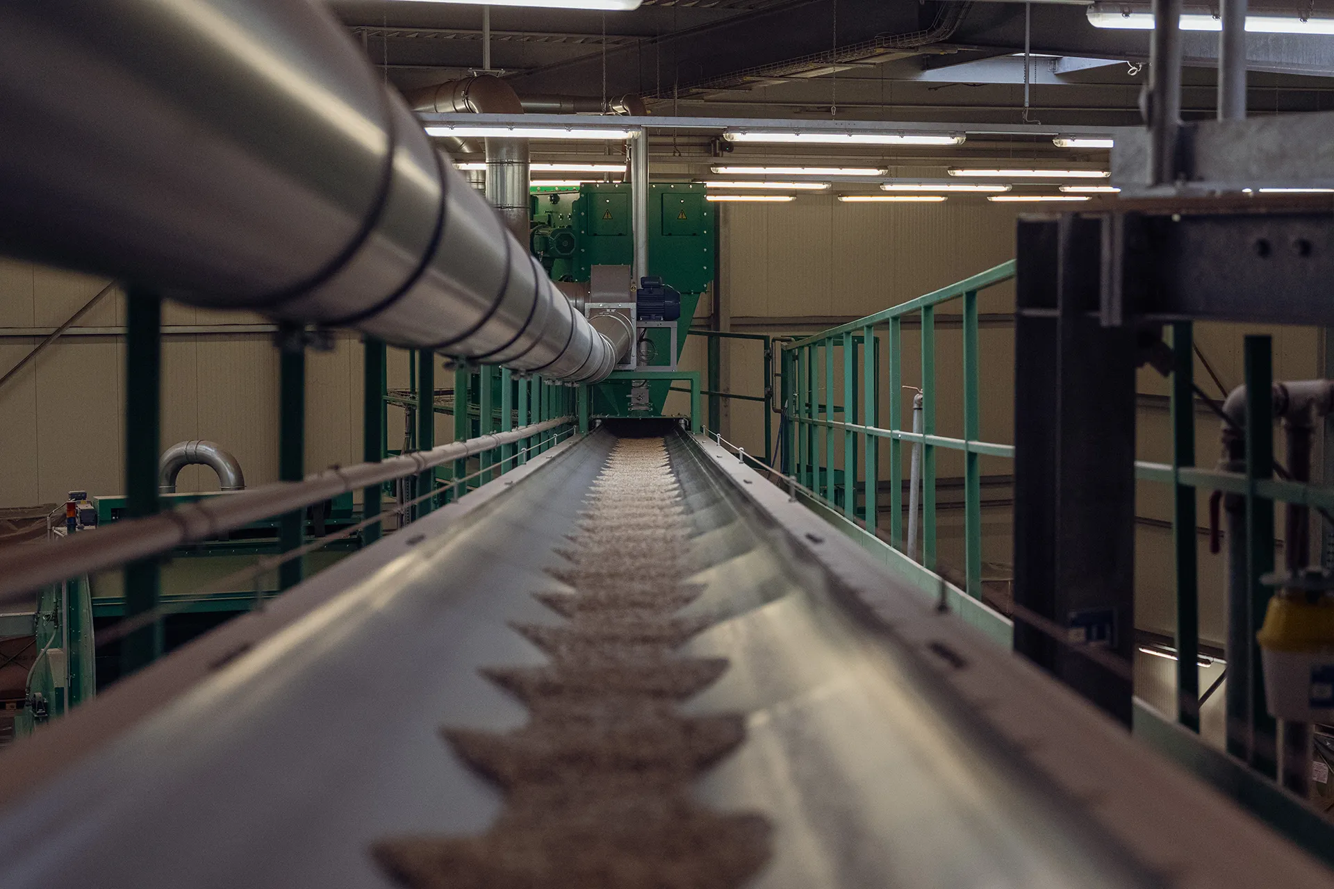 Förderband transportiert Saatgut in Produktionshalle, moderne Getreideanlage mit effizienter Fördertechnik.