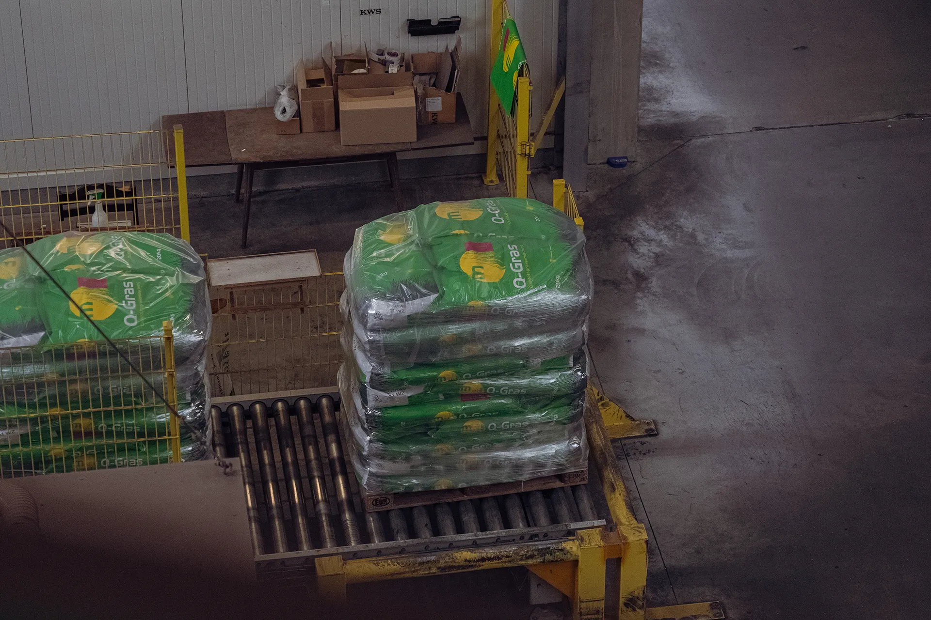 Palettierte Q-Gras Saatgutsäcke Meiners Saaten, versandbereit, automatisierte Fördertechnik, effiziente Logistikprozesse.