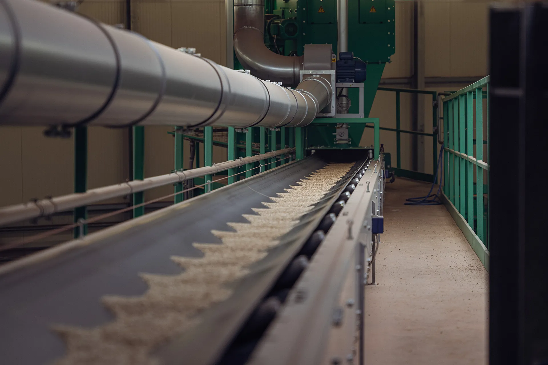 Förderband mit Getreide in moderner Industrieanlage, effiziente Saatgutverarbeitung, präzise Produktionstechnik.